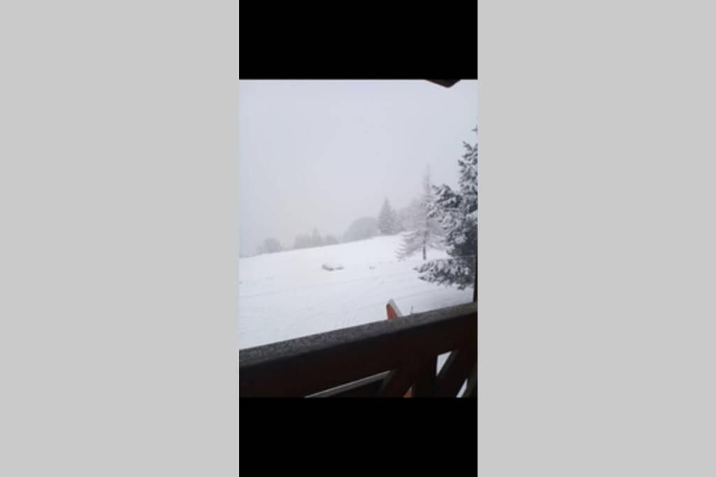 Appartement Refait A Neuf Ski Pied Des Pistes A Val Louron Génos المظهر الخارجي الصورة